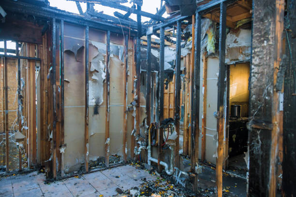 Professional Smoke Odor Removal technician working in Plato, MN