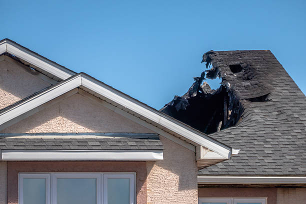 Top rated local Smoke Odor Removal specialists in Plato, MN